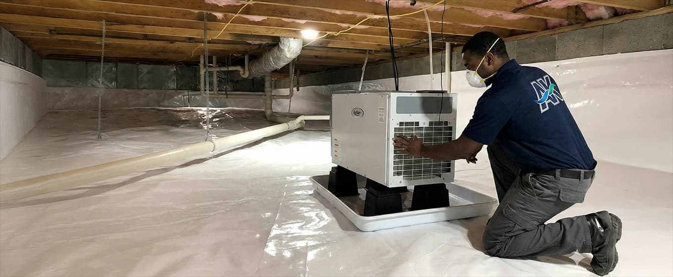 Professional crawl space encapsulation service