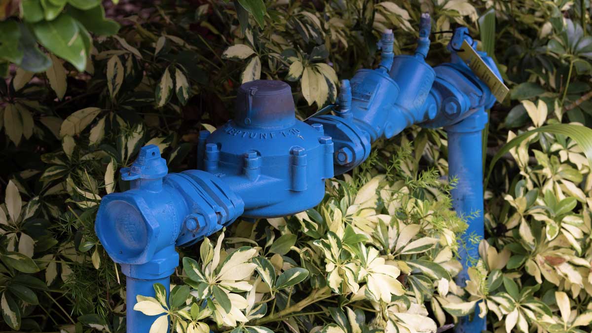What Is A Backflow Plumber