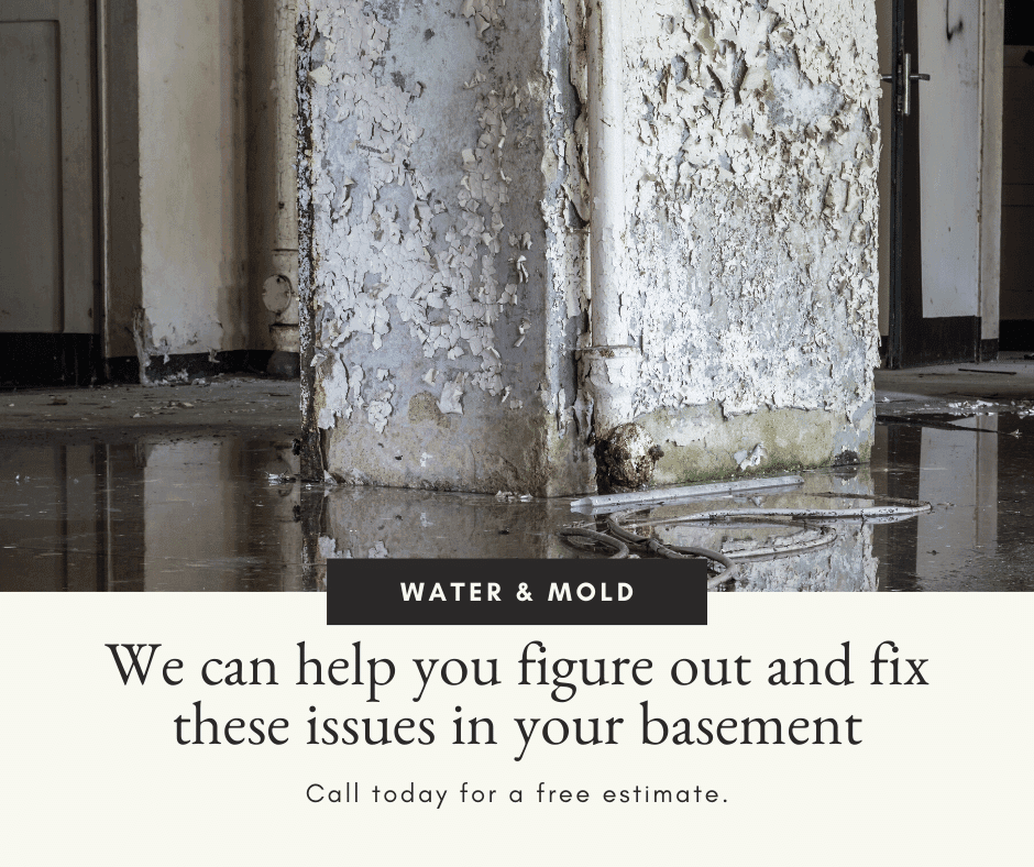 Everything You Need to Know about Mold in Basements